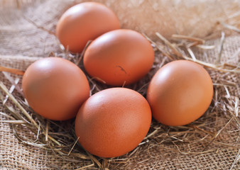 raw chicken eggs