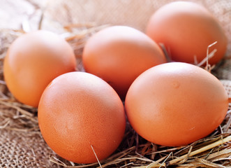 raw chicken eggs