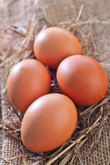 raw chicken eggs