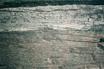 Vintage green wood background