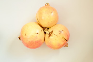 GRANADA MOLLAR OF ELCHE