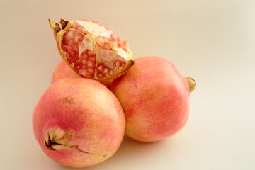 GRANADA MOLLAR OF ELCHE