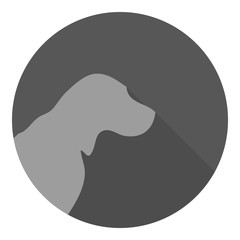 dog icon