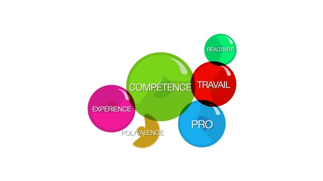 Comp&eacute;tence professionnelle exp&eacute;rience travail talent ronds de couleur diagramme objectif en bulles