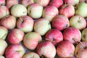 Background from fresh apples