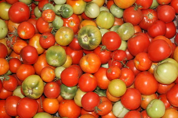 Tomatoes background