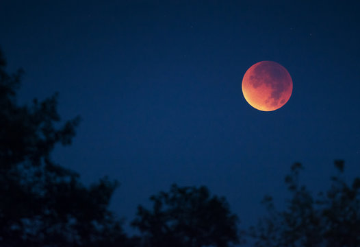 Lunar total eclipse. 28 September, 2015. Ukraine