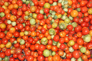 Tomatoes background