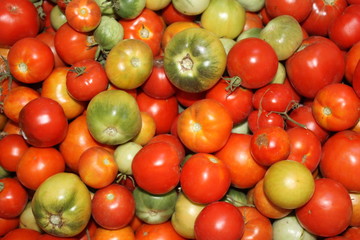 Tomatoes background