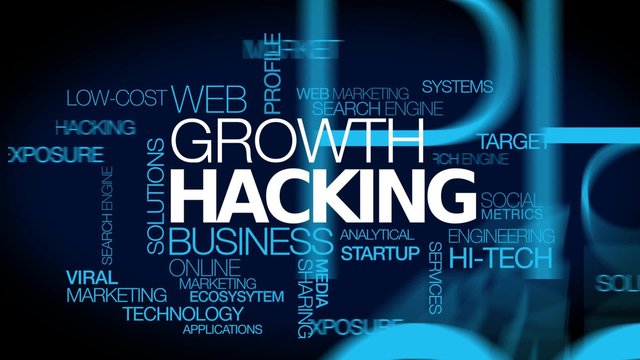 Growth hacking words tag cloud marketing text animation video

