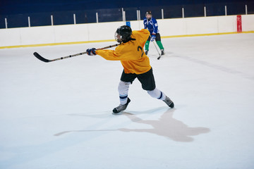 ice hockey sport players