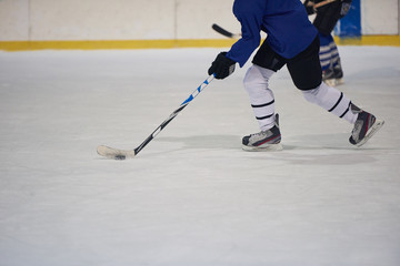 Fototapeta premium ice hockey player in action