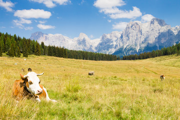 Fototapeta na wymiar Beautiful alpine panorama