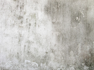 Dirty white wall