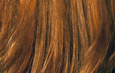 Fototapeta premium Red hair texture under sunlight.