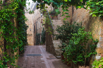 Fototapeta na wymiar Brick streets of sandstone with green plants in Tuscan village,