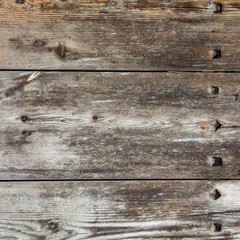 The old wood texture with natural patterns