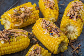 Roasted sweet corn on the cob on metal background