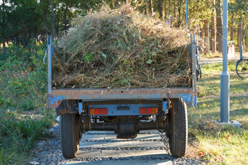 Tractor filled with weeds