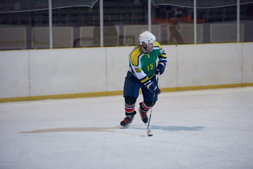 ice hockey player in action