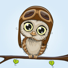 Fototapeta premium Cute Owl
