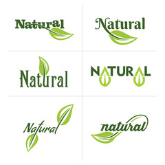 Set of ecology icons with green leaves in vector