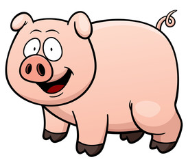 Vector illustration of cartoon pig