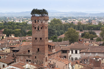 Fototapeta na wymiar In Lucca der turm mit bäumnen im hintergrund die berge
