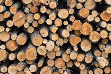 Pile of wood logs ready for winter