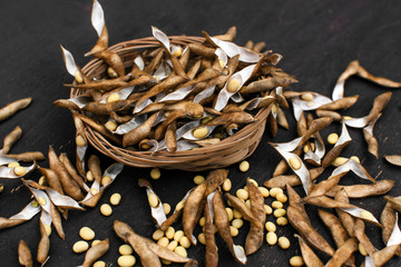 Soybeans pod, harvest of soy beans background Soybeans on a wooden background. rustic style