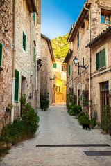 Fototapeta na wymiar narrow cozy street in Valldemossa