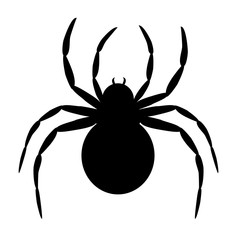  black spider