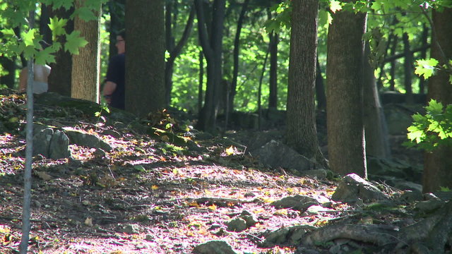 People walking through wooded park