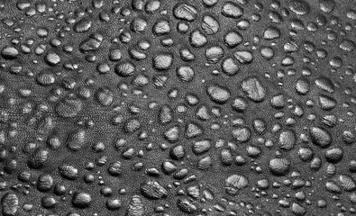 The photo shows the original black background with texture and patterns of natural skin of animal origin