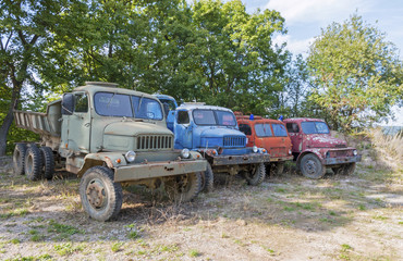 Rusty Old Trucks parked in forest