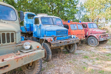 Rusty Old Trucks parked in forest