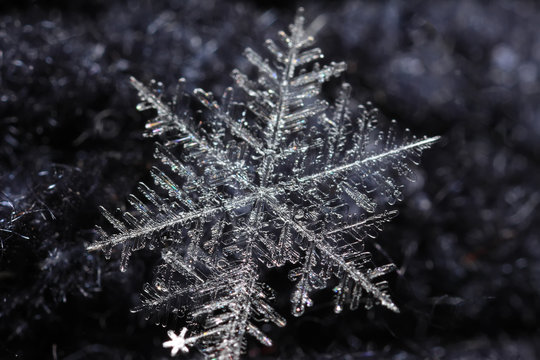The photo of snowflake on a black background
