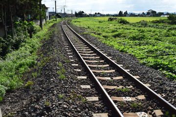 Fototapeta premium 羽越本線の線路（単線）／山形県の庄内地方で羽越本線の線路（単線）を撮影したローカルイメージの写真です。