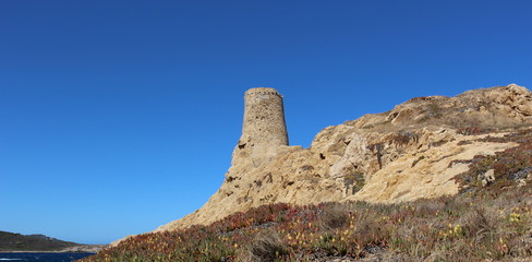 Tour génoise (corse)
