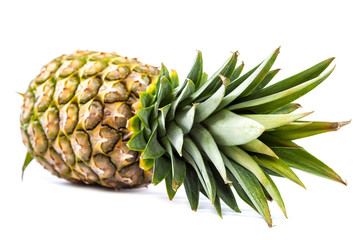 Pineapple fruit on a white background.
