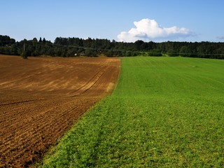 green and brown field