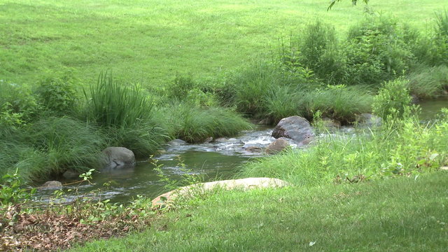 A small babbling brook
