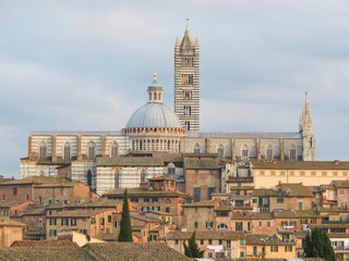Naklejka premium Siena, Cathedral