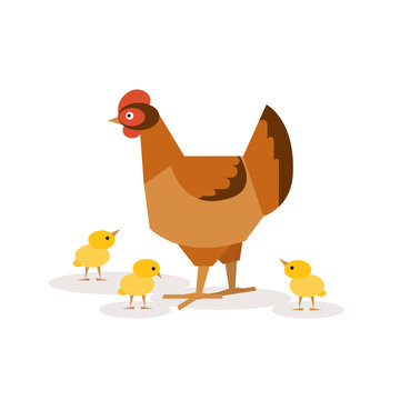 Chicken with chickens. Vector illustrations