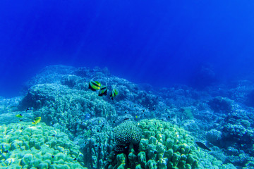 underwater