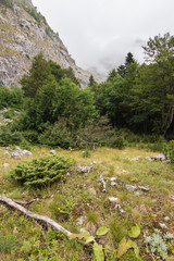 misty landscape in mountains of Dinaric Alps in Durmitor National Park in rainy day