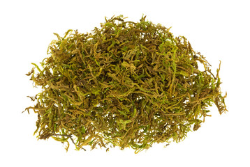 Small pile of floral moss
