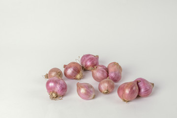 Shallots (Allium ascalonicum)