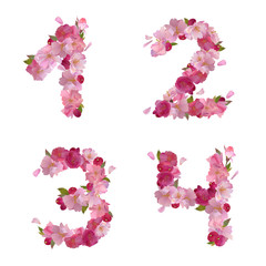 Spring font from cherry flowers figures 1,2,3,4