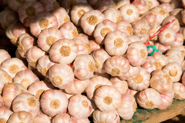 Public market in Camargue